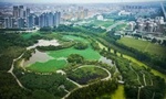 河南孟州:发出诉前检察建议督促修复被污染土地